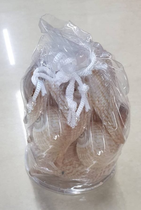 Sea-Shell-Bamboo-Rattan-Products-Home-Needs-New-Arrivals Sea-Shell-Bamboo-Rattan-Products-Home-Needs-New-Arrivals