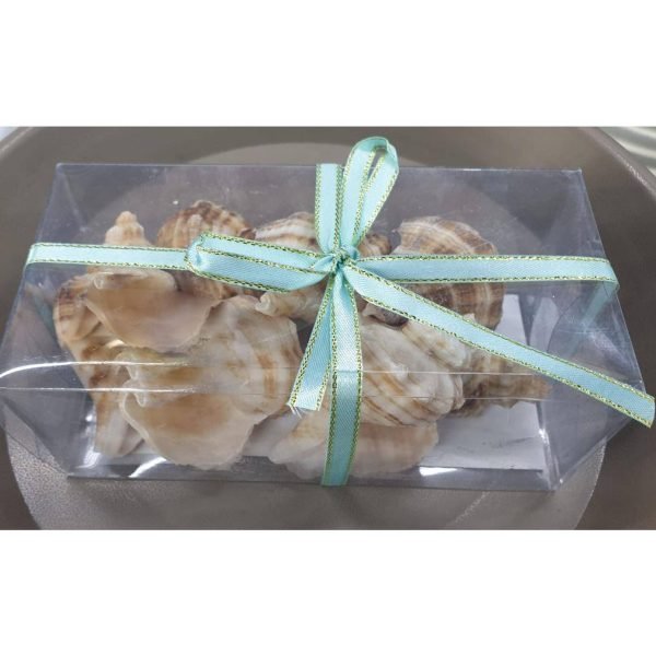 Sea-Shell-Gold-Color-Art-amp-Crafts