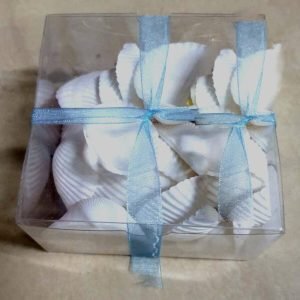Sea Shell -White (72 Pcs)