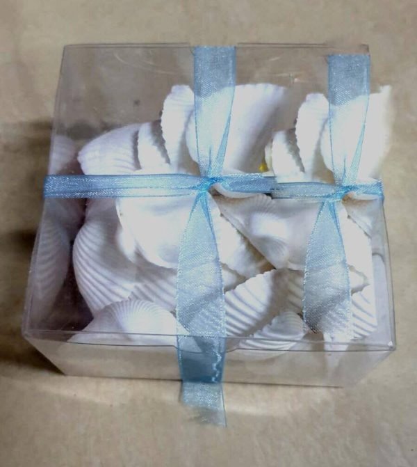 Sea-Shell-White-72-Pcs-Art-amp-Crafts