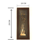 herbarium frames