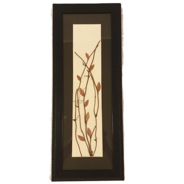 whitish frame