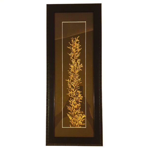 herb 5